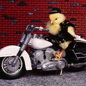 Meet your Posher, Jonathan